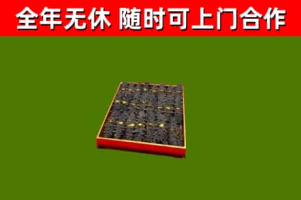 金秀回收海参